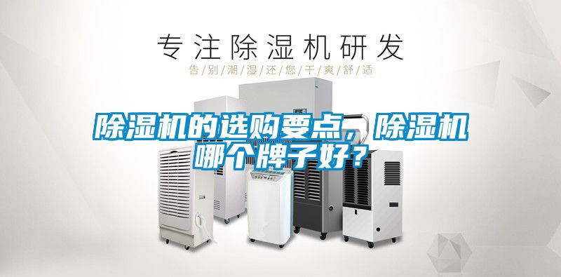 除濕機的選購要點，除濕機哪個牌子好？