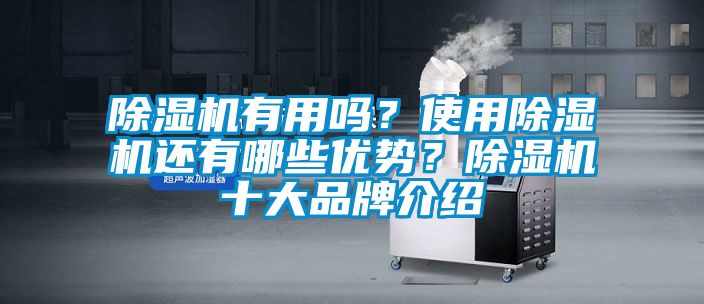 除濕機(jī)有用嗎？使用除濕機(jī)還有哪些優(yōu)勢(shì)？除濕機(jī)十大品牌介紹
