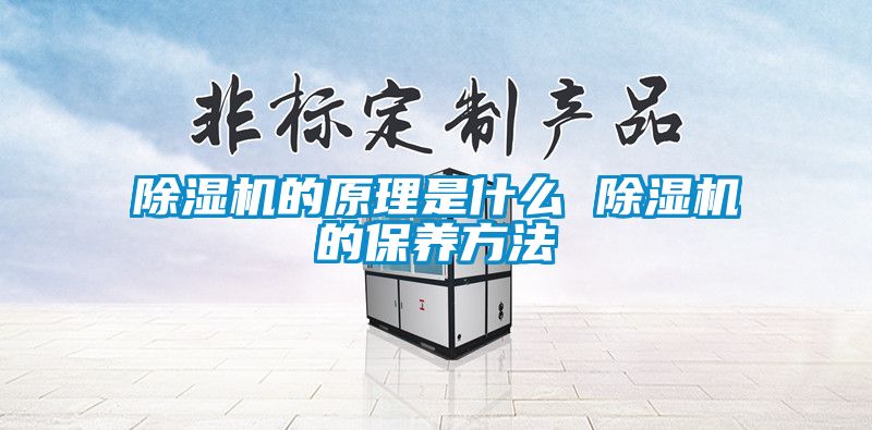 除濕機的原理是什么 除濕機的保養方法