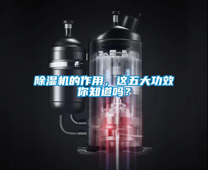 除濕機的作用，這五大功效你知道嗎？