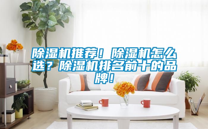 除濕機推薦！除濕機怎么選？除濕機排名前十的品牌！