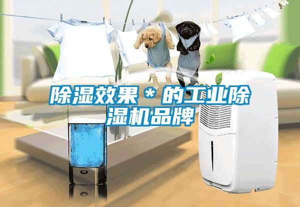 除濕效果＊的工業除濕機品牌
