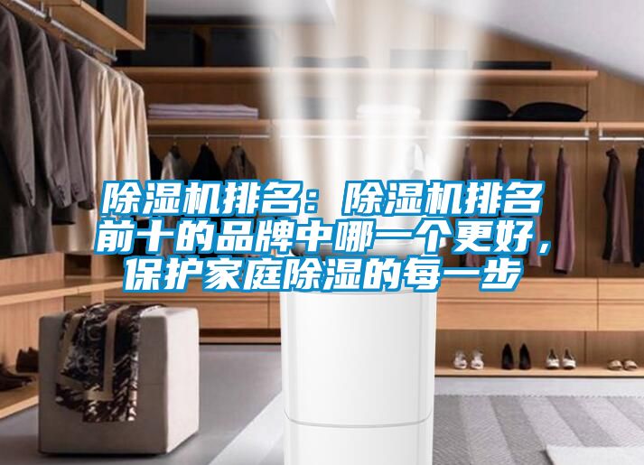 除濕機排名：除濕機排名前十的品牌中哪一個更好，保護家庭除濕的每一步