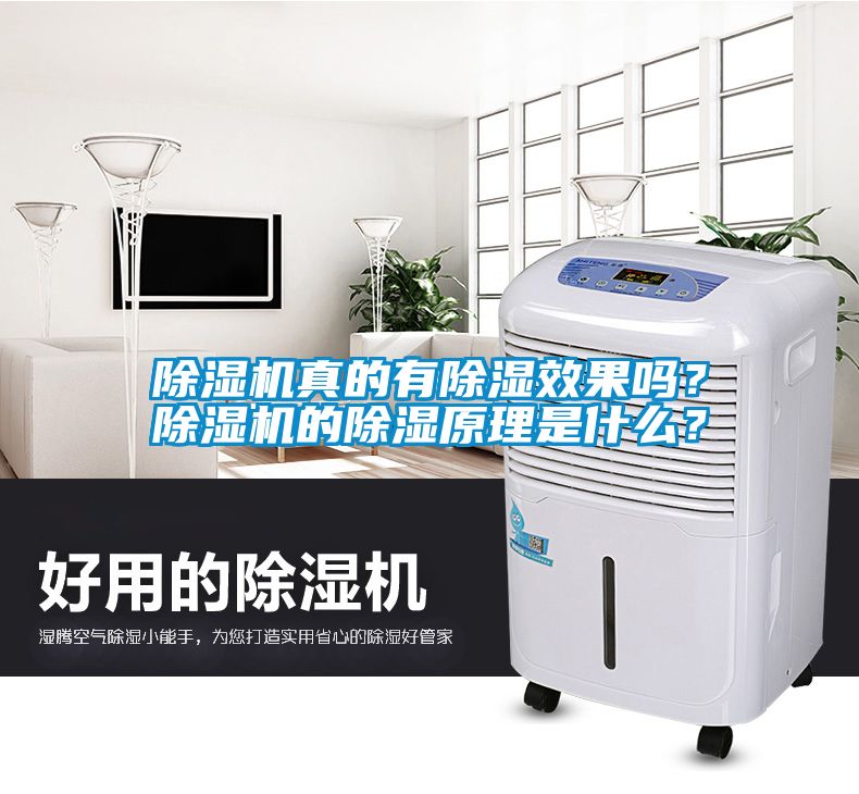 除濕機真的有除濕效果嗎？除濕機的除濕原理是什么？