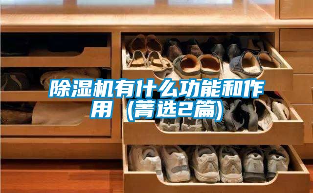 除濕機(jī)有什么功能和作用 (菁選2篇)