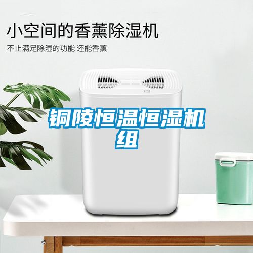銅陵恒溫恒濕機組