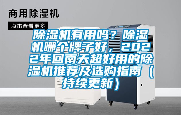 除濕機有用嗎？除濕機哪個牌子好，2022年回南天超好用的除濕機推薦及選購指南（持續更新）