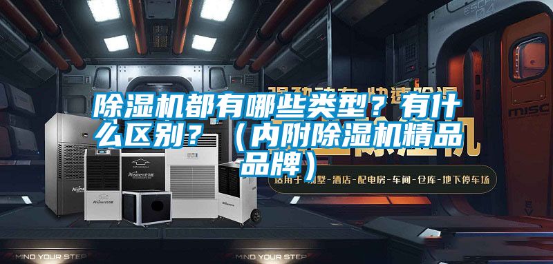 除濕機都有哪些類型？有什么區別？（內附除濕機精品品牌）