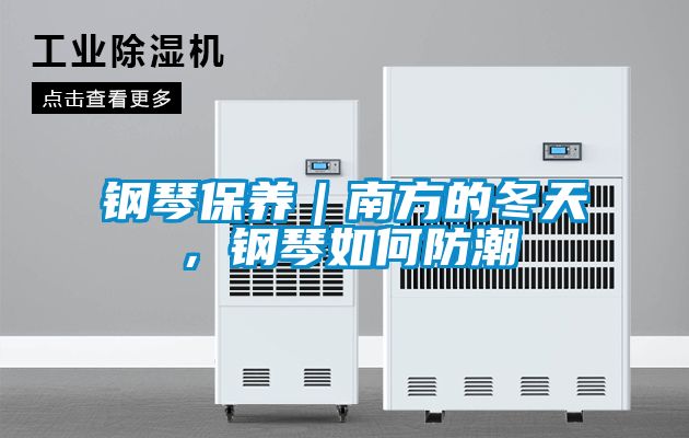 鋼琴保養｜南方的冬天，鋼琴如何防潮