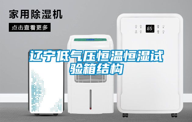 遼寧低氣壓恒溫恒濕試驗箱結(jié)構(gòu)