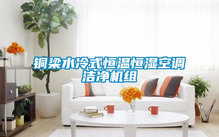 銅梁水冷式恒溫恒濕空調潔凈機組