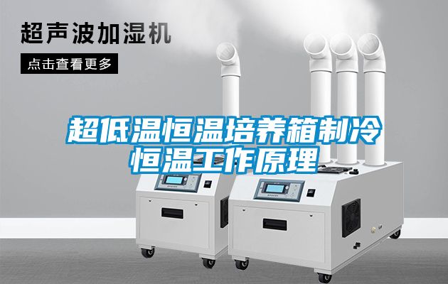 超低溫恒溫培養箱制冷恒溫工作原理