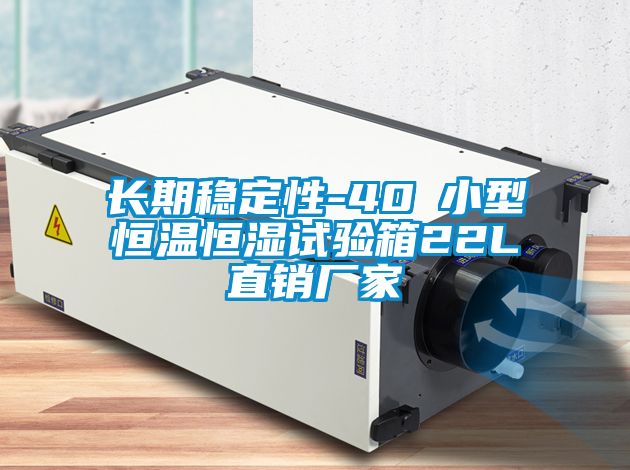 長(zhǎng)期穩(wěn)定性-40℃小型恒溫恒濕試驗(yàn)箱22L直銷廠家