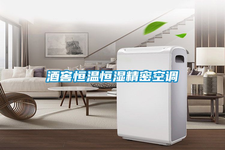 酒窖恒溫恒濕精密空調