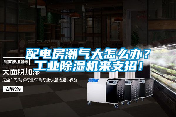 配電房潮氣大怎么辦？工業除濕機來支招！