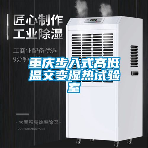 重慶步入式高低溫交變濕熱試驗室