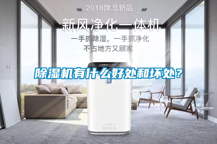 除濕機有什么好處和壞處？