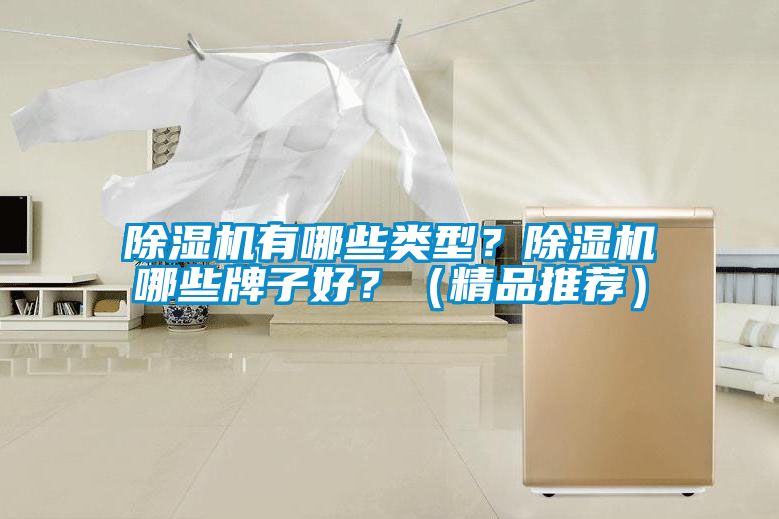 除濕機有哪些類型？除濕機哪些牌子好？（精品推薦）