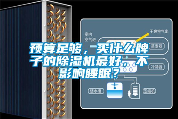 預算足夠，買什么牌子的除濕機最好，不影響睡眠？
