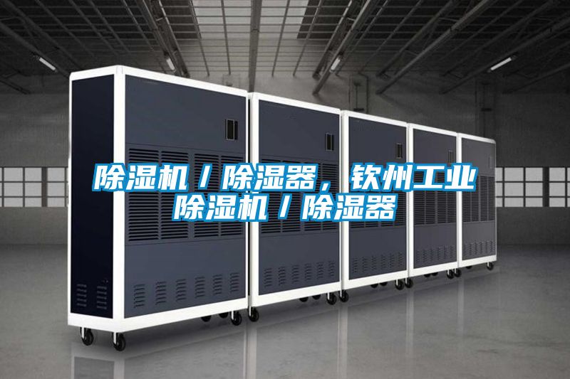 除濕機(jī)／除濕器，欽州工業(yè)除濕機(jī)／除濕器