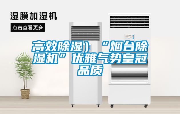 高效除濕）“煙臺除濕機”優雅氣勢皇冠品質