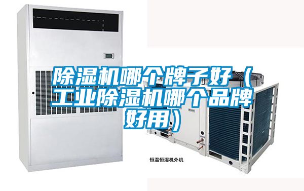 除濕機哪個牌子好（工業除濕機哪個品牌好用）