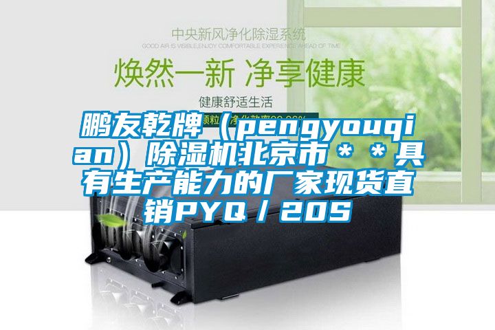 鵬友乾牌（pengyouqian）除濕機北京市＊＊具有生產能力的廠家現貨直銷PYQ／20S