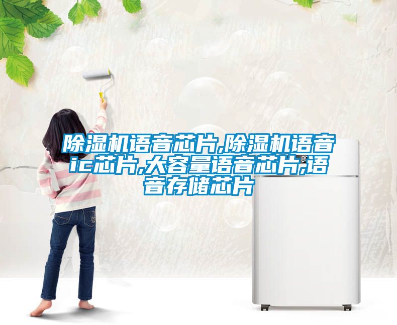 除濕機(jī)語音芯片,除濕機(jī)語音ic芯片,大容量語音芯片,語音存儲(chǔ)芯片