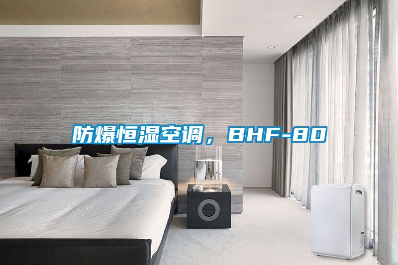 防爆恒濕空調(diào)，BHF-80