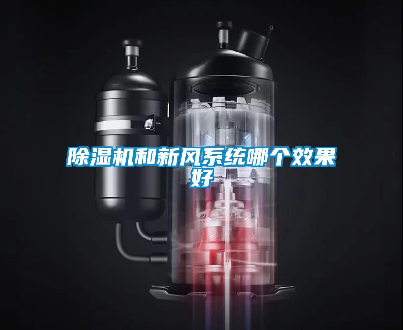 除濕機和新風系統哪個效果好