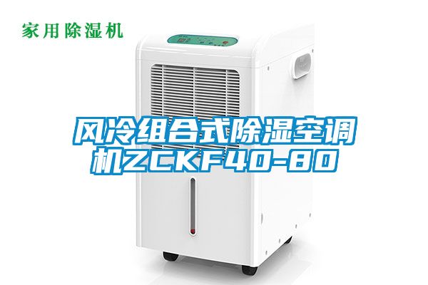 風冷組合式除濕空調機ZCKF40-80