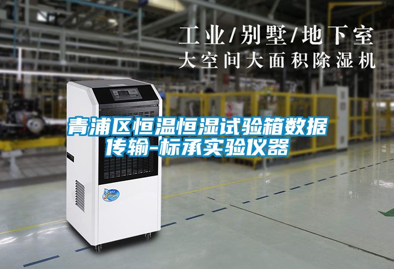 青浦區恒溫恒濕試驗箱數據傳輸-標承實驗儀器