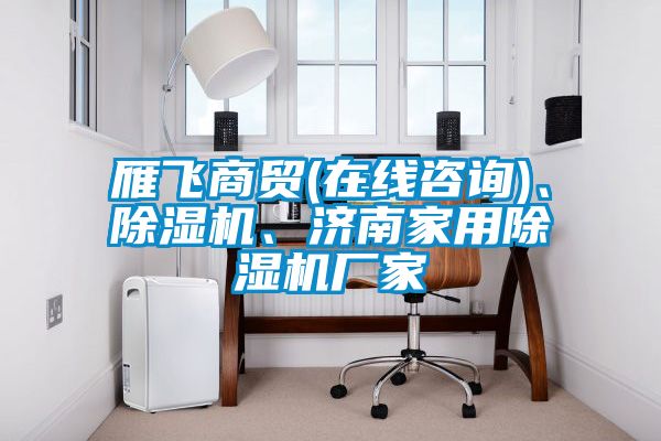 雁飛商貿(在線咨詢)、除濕機、濟南家用除濕機廠家