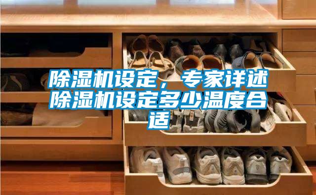 除濕機設(shè)定，專家詳述除濕機設(shè)定多少溫度合適