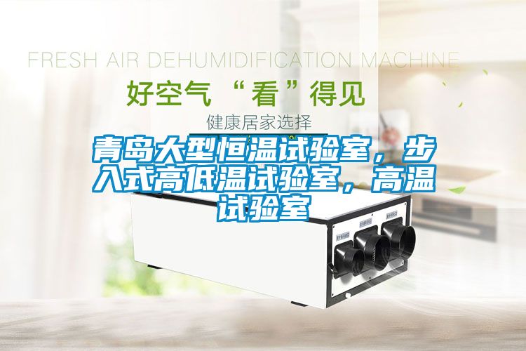 青島大型恒溫試驗室，步入式高低溫試驗室，高溫試驗室