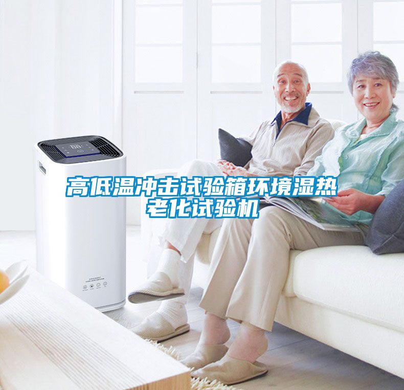 高低溫沖擊試驗箱環境濕熱老化試驗機