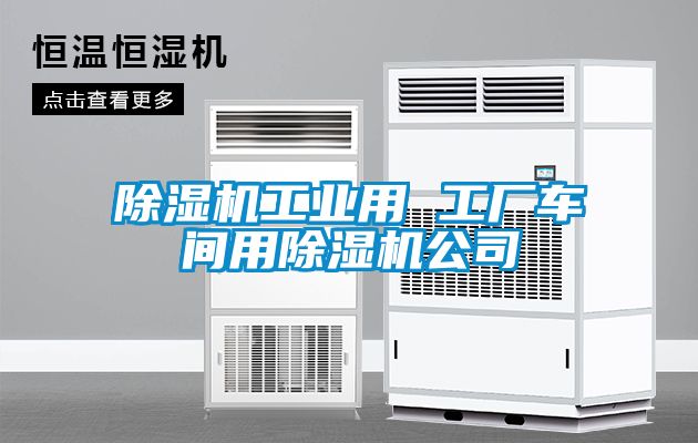 除濕機工業用 工廠車間用除濕機公司