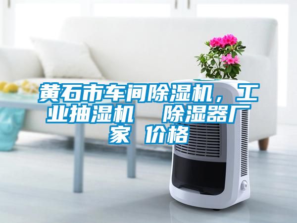 黃石市車間除濕機，工業抽濕機  除濕器廠家 價格