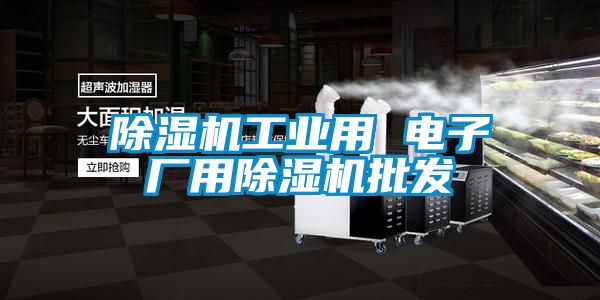 除濕機工業用 電子廠用除濕機批發