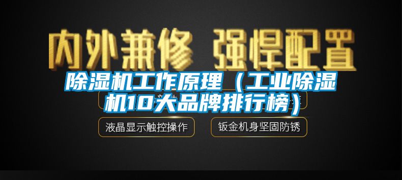 除濕機工作原理（工業除濕機10大品牌排行榜）