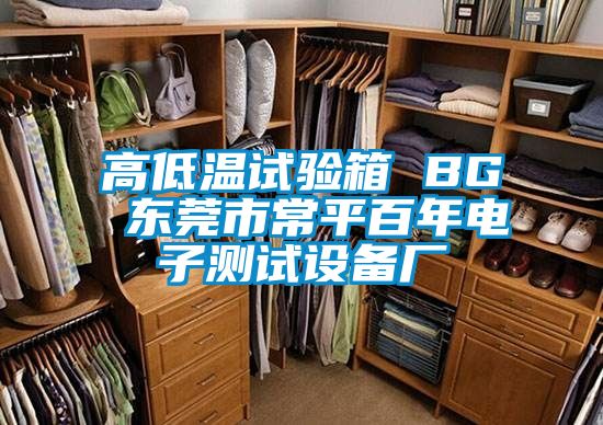 高低溫試驗箱 BG 東莞市常平百年電子測試設備廠