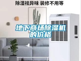 企業新聞地下商場除濕機的價格
