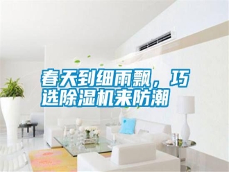 行業(yè)新聞春天到細雨飄，巧選除濕機來防潮