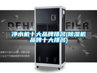 企業(yè)新聞凈水機(jī)十大品牌排名(除濕機(jī)品牌十大排名)