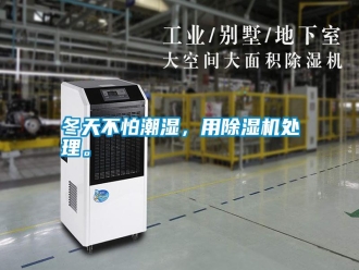 行業(yè)新聞冬天不怕潮濕，用除濕機處理。