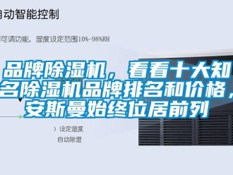 企業新聞品牌除濕機，看看十大知名除濕機品牌排名和價格，安斯曼始終位居前列