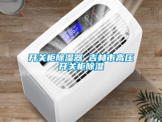 行業(yè)新聞開關柜除濕器 吉林市高壓開關柜除濕