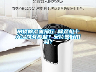 企業新聞吊頂除濕機排行 除濕機十大品牌有哪些？安詩曼好用嗎？