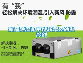 企業新聞冰箱除濕機中比較常見的制冷劑