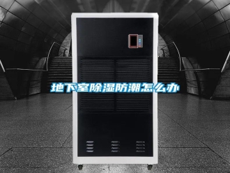 行業新聞地下室除濕防潮怎么辦